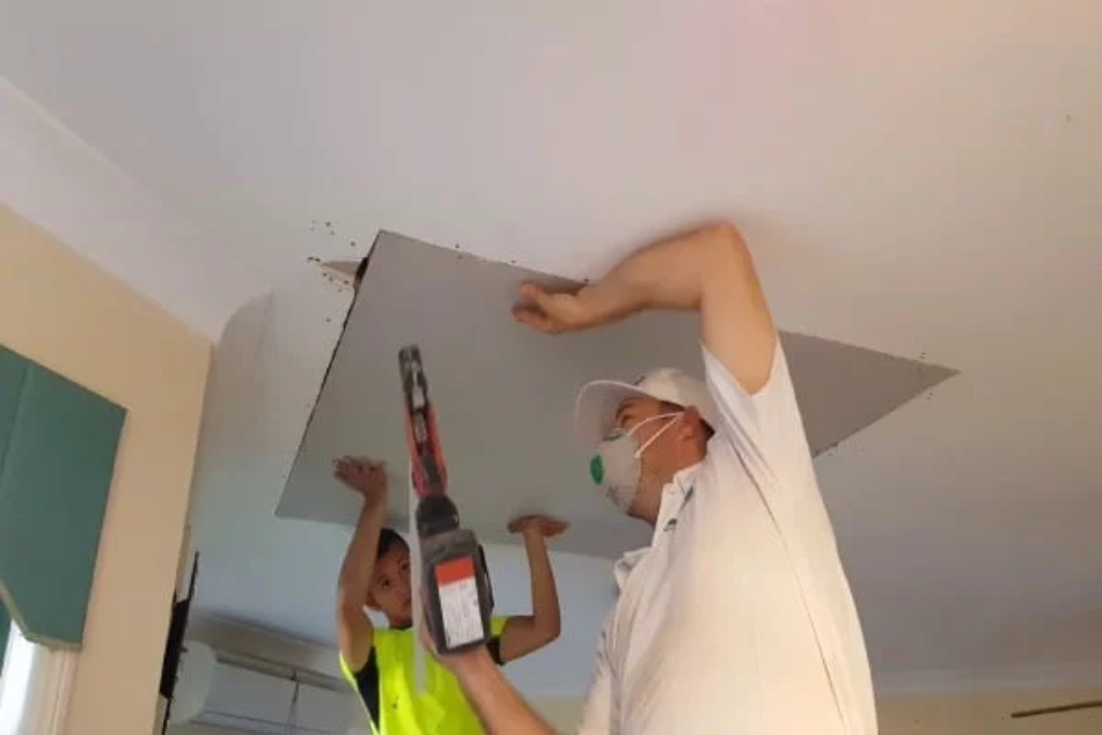 Ceiling Repair Services